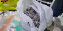 Blitz in una casa dello spaccio a Catania, sequestrati 12 kg di droga