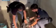 Nel box 70 chili di droga, 30enne arrestato a Roma