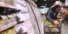 Carrelli più verdi: boom di prodotti plant-based in Italia