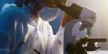 IA, oggi algoritmi fondamentali per marketing sanitario