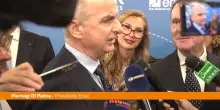 Trasporto aereo, Di Palma "Cani a bordo frutto di grande sinergia"
