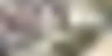Usa, sparatoria in una scuola in Colorado: due studenti in ospedale