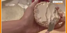 Sorsi di Benessere - Il formaggio spalmabile si prepara in casa