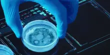 Malattie rare, la diagnosi adesso si fa con la tomografia olografica