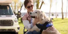 In camper con il cane, vacanze inclusive e sicure per chi vive con disabilità