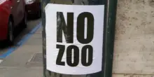 Lo zoo danese che cerca animali vivi per nutrire i predatori non è il problema: il problema sono tutti gli zoo