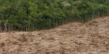 Giornata Mondiale per l’Amazzonia: cresce la deforestazione tra le pressioni delle lobby in Brasile (e in Europa)