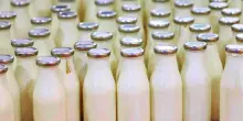 Allarme per la presenza di”materiali indesiderati” nel latte, quattro marchi richiamati: ecco i lotti ritirati dai supermercati