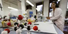 Forza lavoro ridotta di un terzo in vent’anni: c’entrano tempi, aspettative e relazioni intergenerazionali