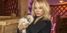 “Non mi sono mai sentita a mio agio come sex symbol”: la confessione di Pamela Anderson