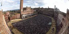 Palio di Siena, se per voi i cavalli sono sacri allora smettetela di sfruttarli
