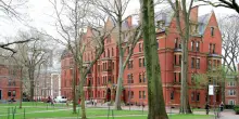 Stop all’ordine di Trump che vieta il visto agli studenti stranieri a Harvard: la decisione della giudice