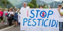 La denuncia di Greenpeace: “L’Italia è tra i primi esportatori di pesticidi il cui uso è vietato in UE”