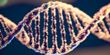 Ecco il “Riparioma umano”: la mappa delle cicatrici del Dna che rivoluziona la ricerca sul cancro
