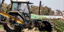 Travolto da un trattore mentre lavorava nei campi: morto operaio di 47 anni ad Arezzo