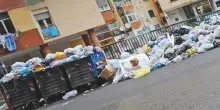 Tassa rifiuti, dal 2026 sconto del 25% con il bonus Tari: a chi spetta e come si ottiene