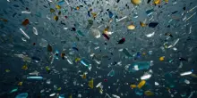 “Le microplastiche minacciano il microbiota intestinale: alterazioni legate a cancro e depressione”