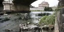 Roma come Parigi? Gualtieri: “Entro 5 anni potremo fare il bagno nel Tevere”