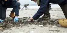 Conferenza di Ginevra sulla plastica fallita per i produttori di petrolio: non può più funzionare così