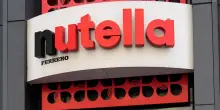Prezzo delle nocciole raddoppiato e produzione dimezzata: Ferrero sospende gli acquisti per la Nutella in Turchia
