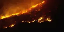 Grecia, vasto incendio a Creta: 1500 persone evacuate, Vigili del fuoco in difficoltà per i forti venti
