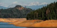 Gli alberi ci possono salvare dal riscaldamento globale? Se perdiamo le foreste perdiamo tutto