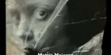 True crime ispirati a vicende tanto inquietanti quanto vere come quella dei delitti di Alleghe e i romanzi noir: ecco la lista dei libri consigliati