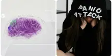 È la dopamina a indurre l’estinzione della paura nel cervello, lo studio del Mit