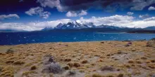 Terremoto di magnitudo 7.5 nel Sud del Cile: allerta tsunami. “Evacuazioni anche a Ushuaia”