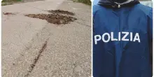 Uccide il figlio a colpi di pistola e poi si costituisce alla Polizia a Lamezia Terme