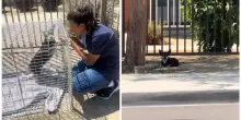 “Il cane aveva il ventre gonfio e lo stomaco pieno di terra. I suoi padroni l’hanno abbandonato in strada”: il racconto della soccorritrice Faith Easdale – VIDEO