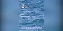 Mako, smeriglio o squalo bianco? Dubbi sull’avvistamento a Malta vicino alla riva – Video