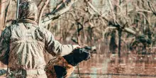 Caccia, l’appello delle associazioni ambientaliste e animaliste contro il ddl del governo: “Un punto di non ritorno”