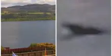 “Il mostro di Lochness ha un cucciolo, ho le prove: ecco baby Nessie”. Le rivelazioni del celebre “cacciatore” Eoin O’Faodhagain