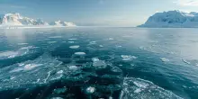 Riscaldamento globale, lo studio su “Nature”: “Rischio migrazioni di massa, gli accordi di Parigi non bastano più”