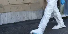Parma, un passante trova un feto sul marciapiede: indagini in corso