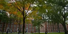 L’amministrazione Trump vieta a Harvard di ammettere studenti stranieri. Chi è già iscritto rischia di perdere il visto