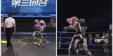 Robot si allenano in diretta streaming come veri e propri pugili: la lotta tra umanoidi diventa un trend – VIDEO