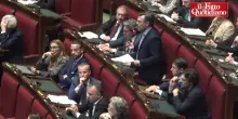 Gaza, Ricciardi (M5s) contro Tajani in Aula: “Voi complici di genocidio”. E il ministro ride – Video