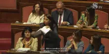 Maiorino strappa il memorandum Italia-Israele in Aula: “Genocidio in diretta, nessuno può dire che non sapeva”