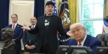 Musk cotto e mangiato dalla politica alla Casa Bianca. Così il dominatore Trump licenzia il suo “First Buddy”