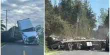“Evitate la zona, ci sono 250 milioni di api libere in fuga”: camion con a bordo 32 tonnellate di alveari attivi si ribalta, è corsa per salvare i preziosi insetti