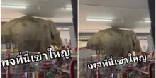 Elefante entra nel supermercato e “fa la spesa”: prende cracker e uova, poi se ne va come se nulla fosse. La scena incredibile è virale
