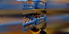 Si spacciava per medico di Papa Giovanni Paolo II e “luminare” dell’autismo: arrestato 63enne