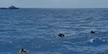 L’agenzia Ue Frontex dietro l’ennesimo respingimento in Libia. Coinvolta la barca di Freedom Flotilla diretta a Gaza