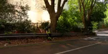 Incendio sulla collina di Monte Mario a Roma, fiamme e fumo in un’area verde: chiusi tratti di strada – Video