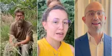 Caccia, l’appello di ricercatori e ornitologi per dire no al ddl Lollobrigida: “Un disastro per animali e ambiente, va fermato”