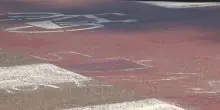 Ubriaco alla guida travolge e uccide nella notte un 20enne in monopattino a Milano: “Un tasso alcolico di 3 volte sopra ai limiti”