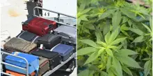 Mangiano caramelle rubate da una valigia e vanno in overdose: ricoverati 4 addetti aereoportuali