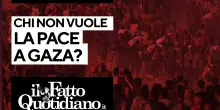 Chi non vuole la pace a Gaza? Segui la diretta con Peter Gomez e Riccardo Antoniucci